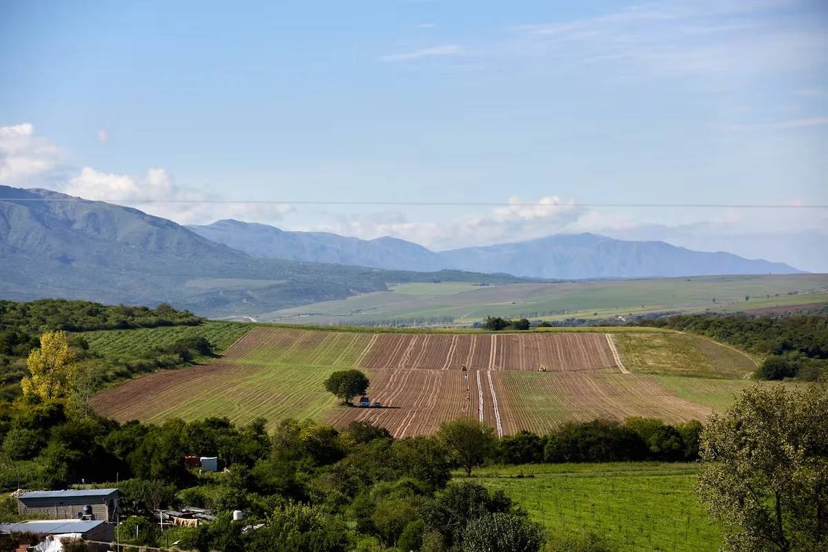 La Corte revoca el fallo sobre la Ley de Tierras del DNU