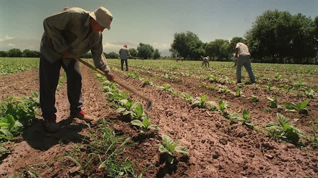UATRE Balcarce saluda al personal rural en su día