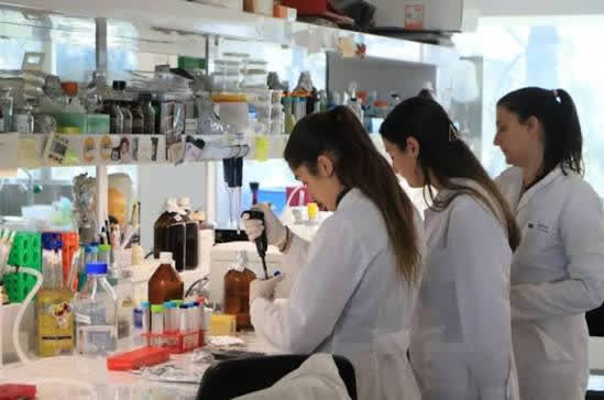 Abren convocatoria para investigadores de hospitales bonaerenses