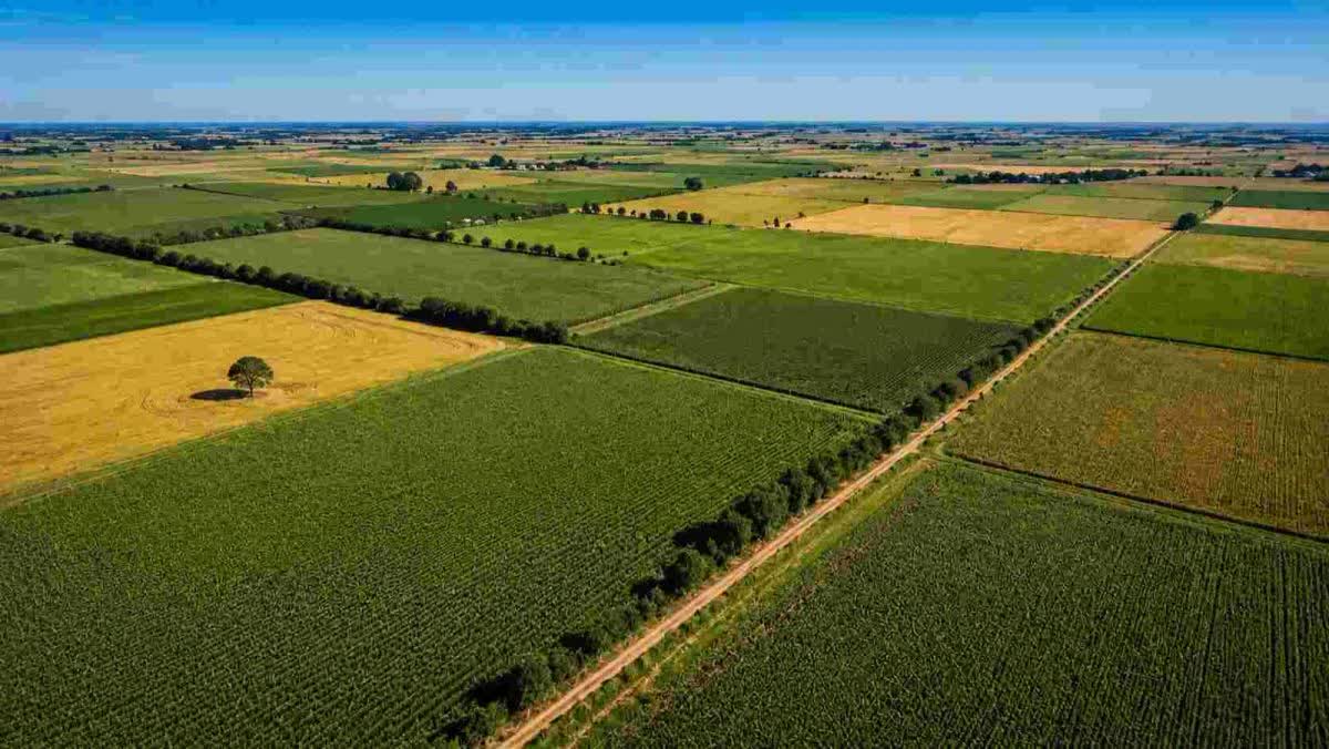 La Justicia ordena preservar registros de tierras rurales provinciales