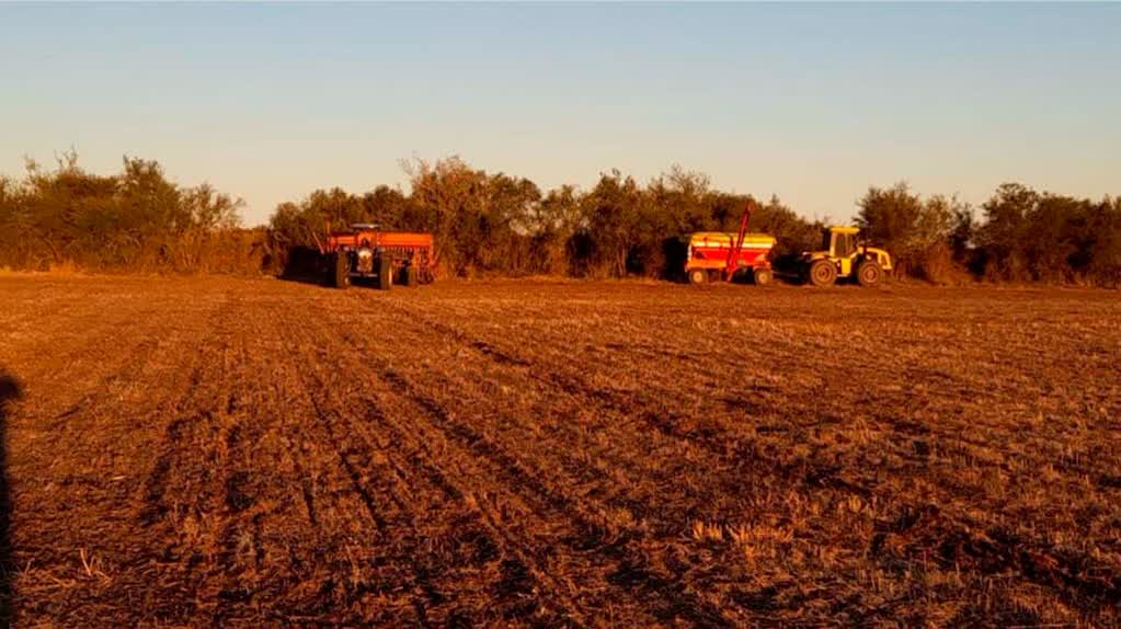 La siembra y cosecha agrícola registran demoras por lluvias y bajas temperaturas