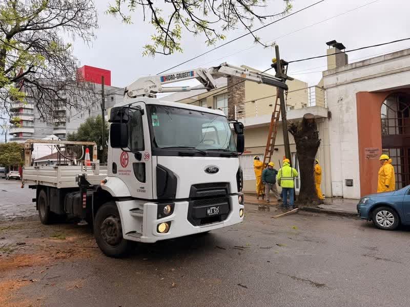 Una planta cae sobre la red eléctrica y daña cables en calle 20
