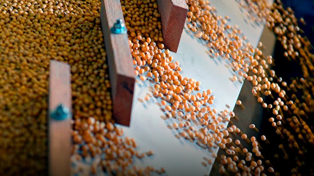 La soja llega a 555.000 pesos por tonelada en el mercado de Rosario