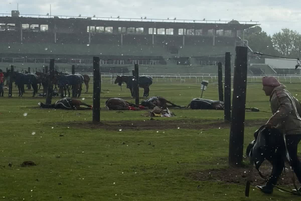 Un rayo mata a cuatro yeguas de polo en San Isidro
