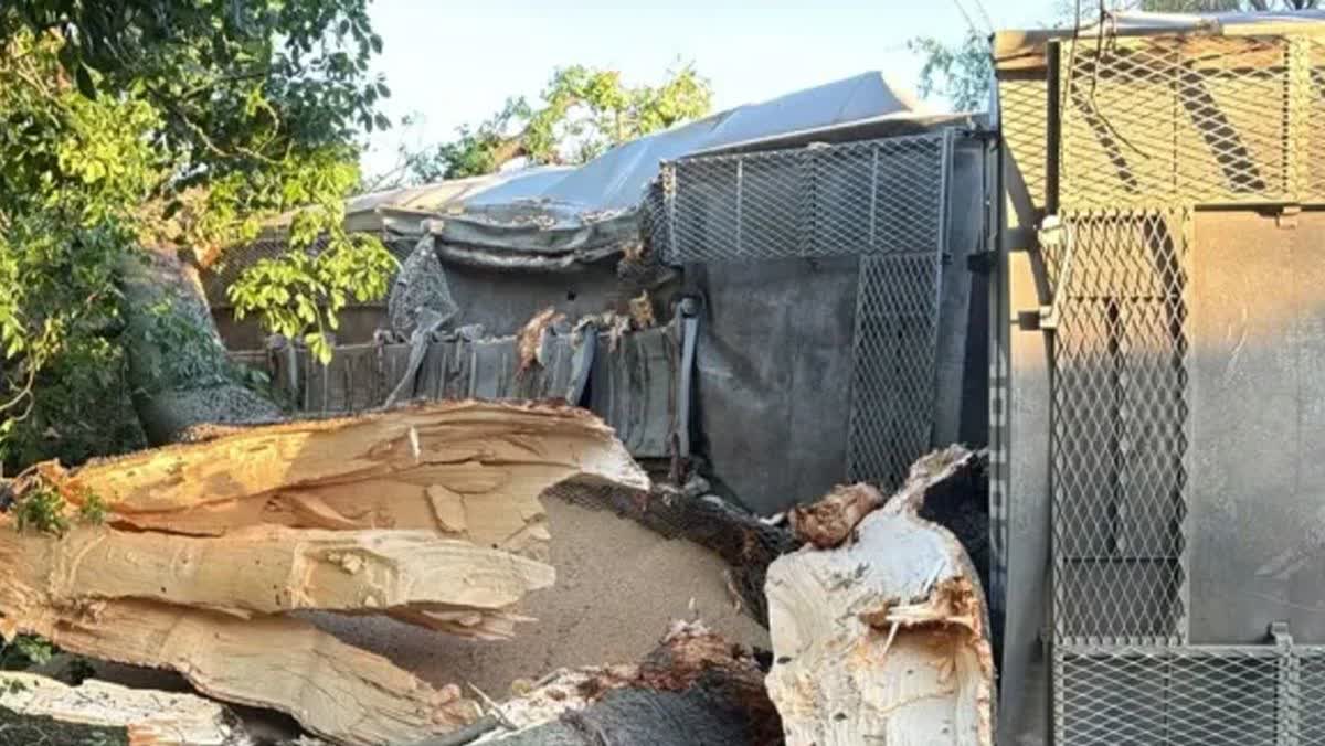 Descarrila y vuelca un tren del Belgrano Cargas en Santa Fe