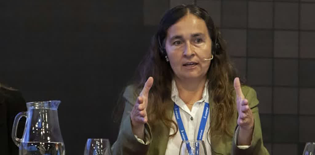 Virginia Aparicio presenta los resultados del proyecto SPRINT sobre plaguicidas