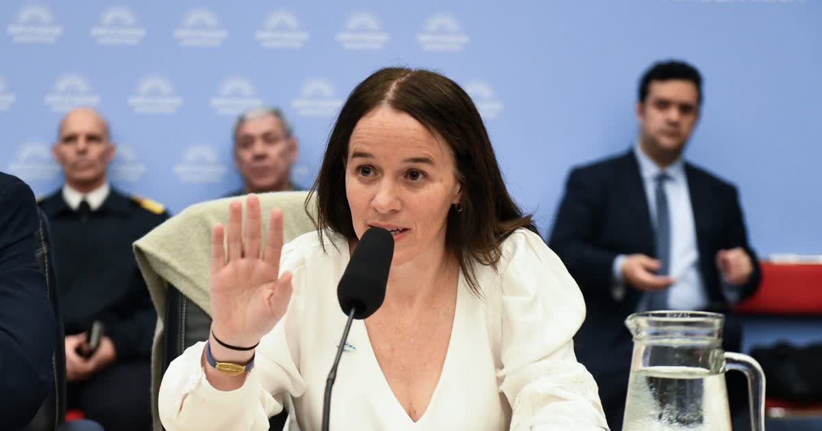 El Gobierno presiona en Diputados por la ley de defensa