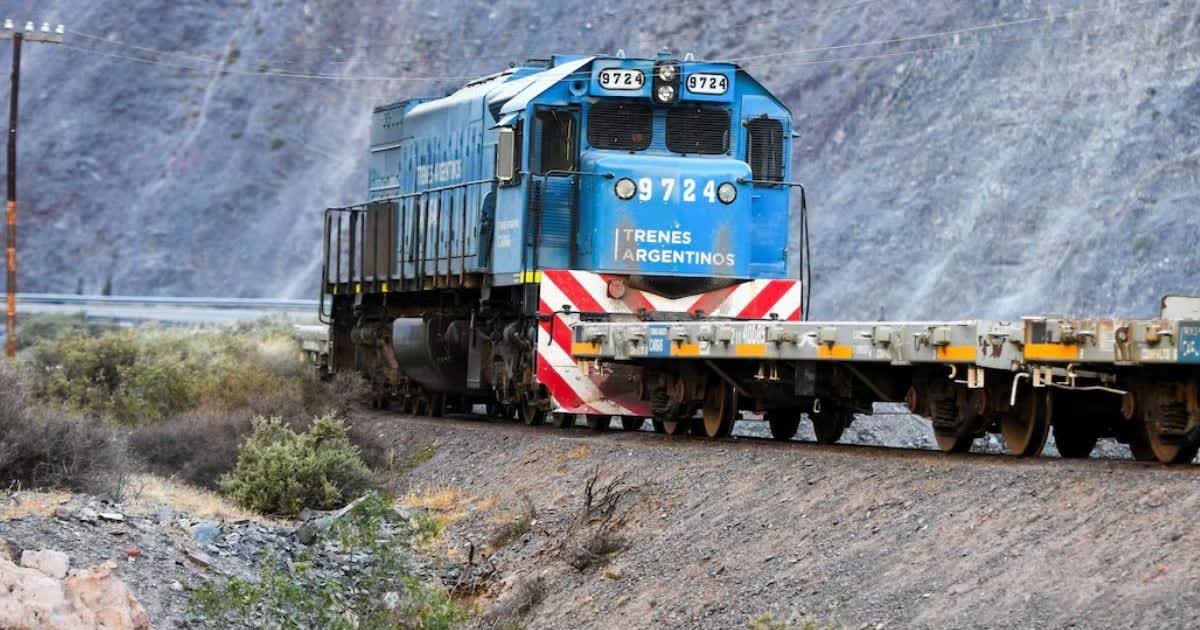 Grupo México se aparta de la licitación del Belgrano Cargas