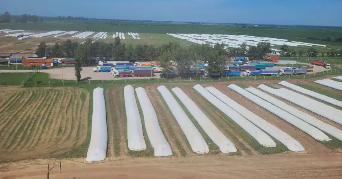 Diputados debate el proyecto que sanciona el vandalismo rural