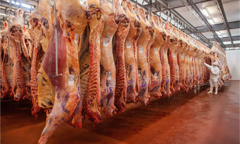 La menor oferta de hacienda presiona a la industria frigorífica