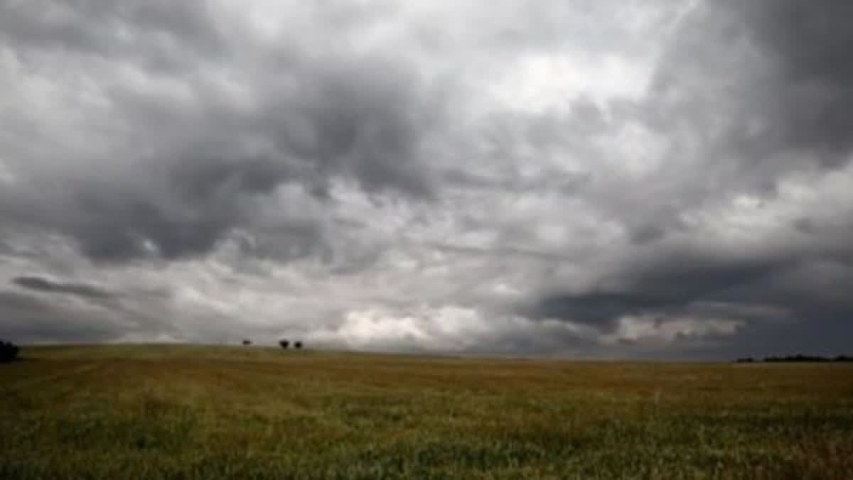 Pronostican lluvias escasas y marcada amplitud térmica en el área agrícola
