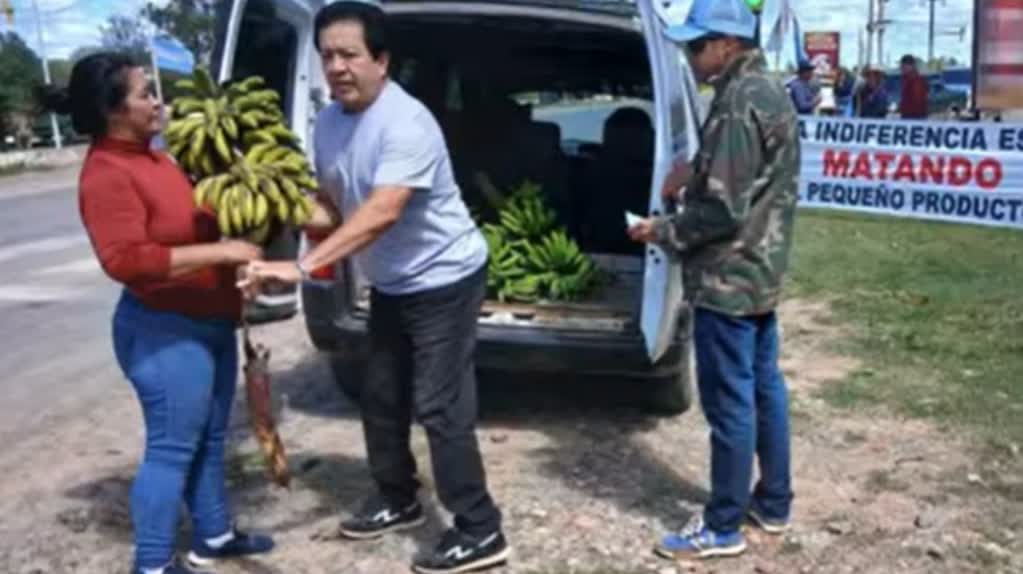 Productores bananeros regalan 3000 kilos de fruta en Laguna Naineck