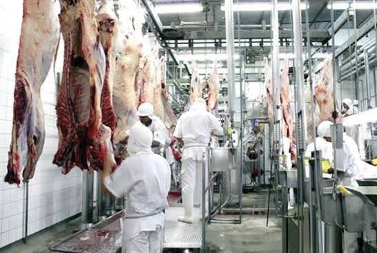 El Municipio evalúa alternativas tras quedar desierta la licitación del frigorífico