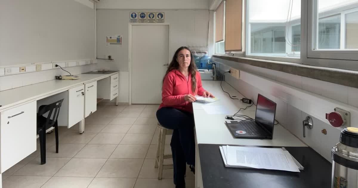 Virginia Aparicio apelará su exoneración del INTA y sigue