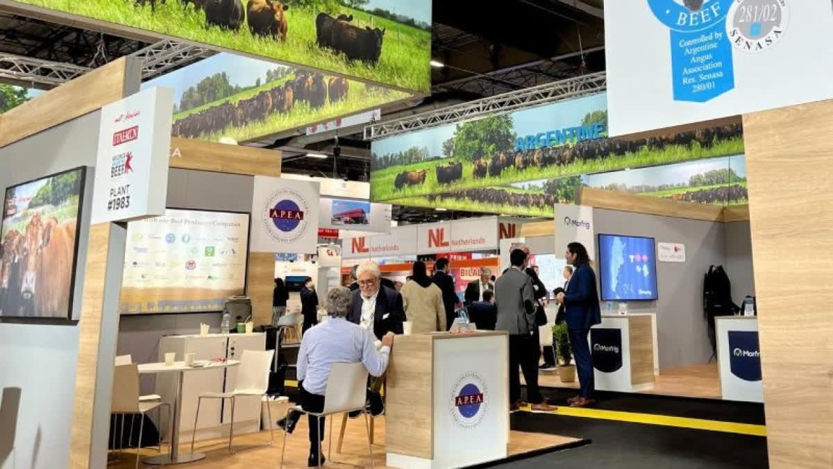 La Asociación Argentina de Angus triplica sus exportaciones de carne