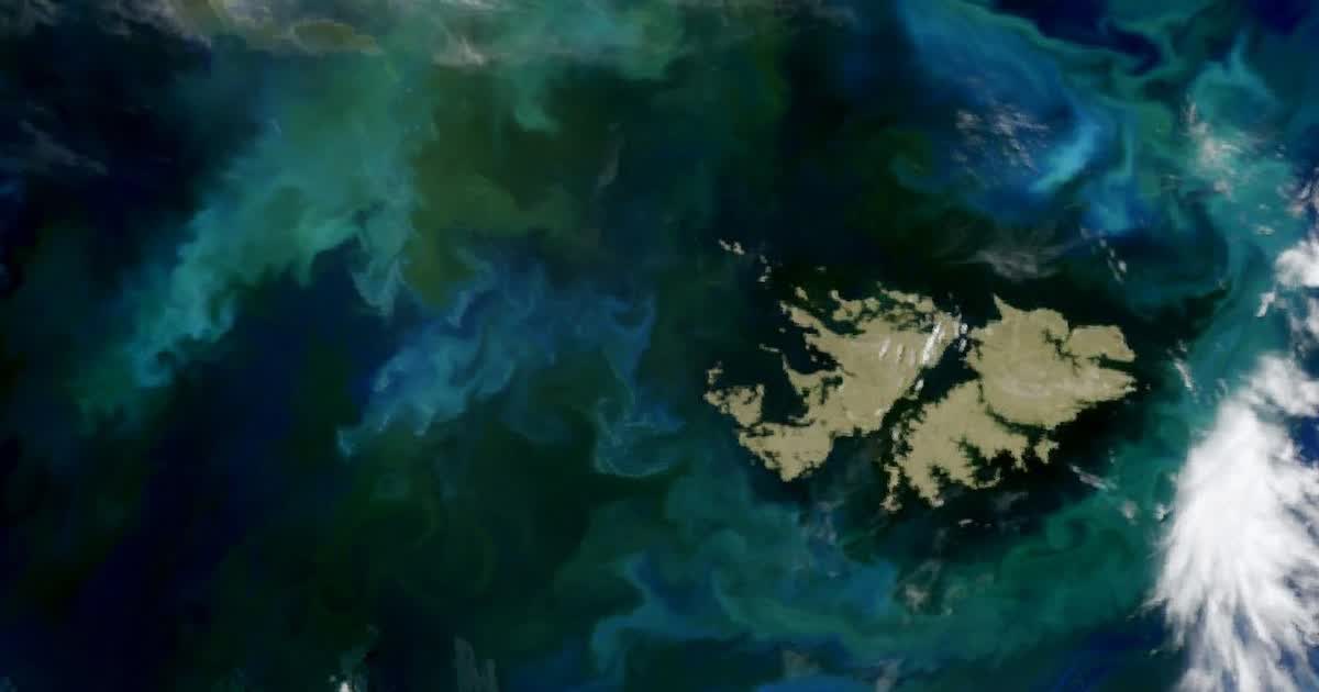 El Reino Unido exige autorización central para nuevos permisos petroleros en Malvinas